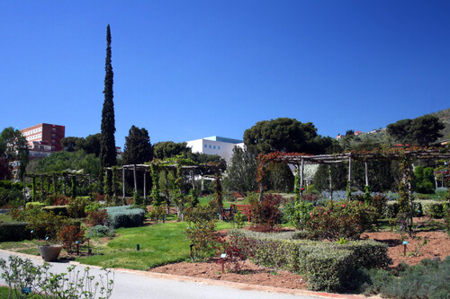 Audioguide de Barcelone : Explorez le parc Cervantes