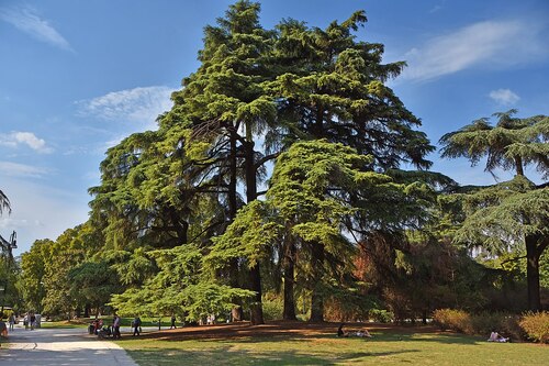 Milan Audio guide: Explore Sempione Park