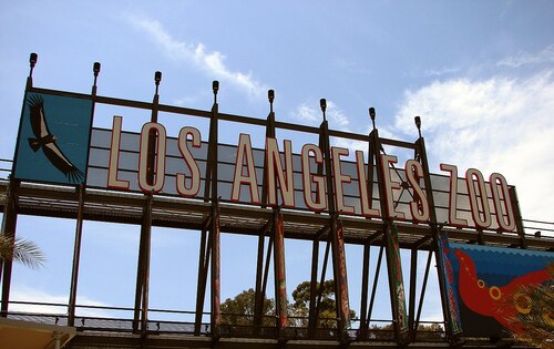 Audioguida di Los Angeles: esplora lo zoo di Los Angeles