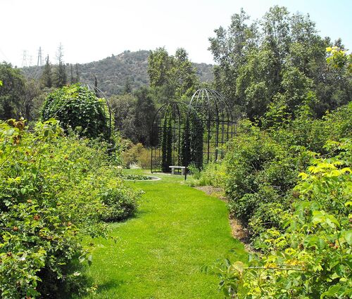 Audioguide de Los Angeles : explorez les jardins de Descanso