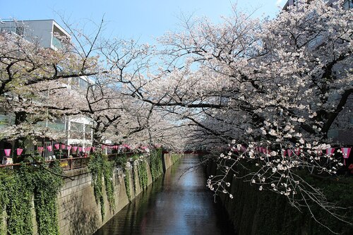 Audioguide de Tokyo : Explorez Nakameguro