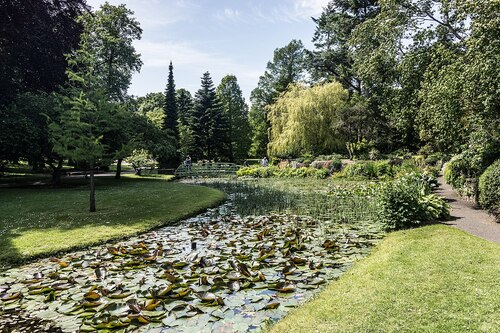 Audioguida di Dublino: esplora i Giardini Botanici Nazionali
