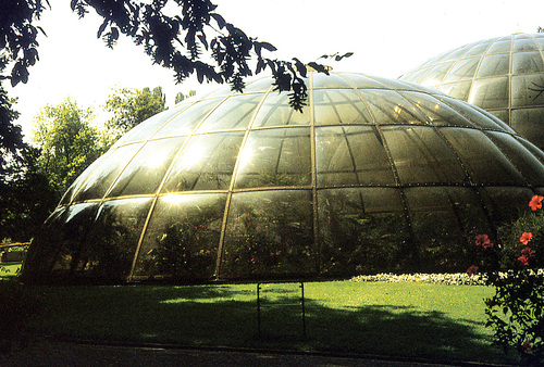 Zurich Audio guide: Explore Botanical Garden