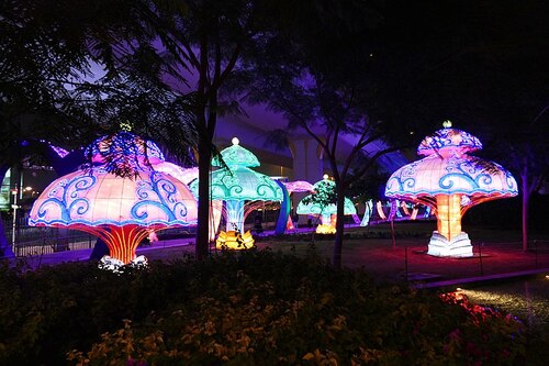 Dubai Audio guide: Explore Dubai Garden Glow