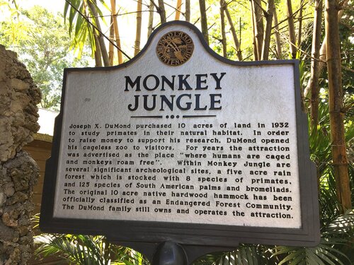 Miami Audio guide: Explore Monkey Jungle