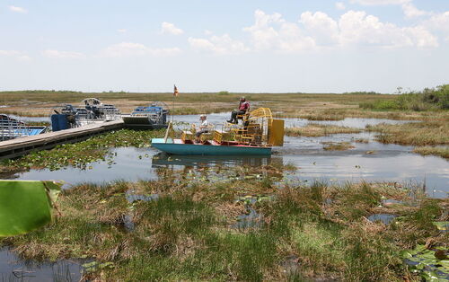 Miami Audio guide: Explore Everglades National Park