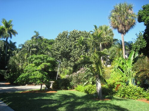 Audioguida di Miami: esplora il giardino botanico di Miami Beach
