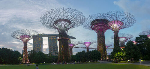 Audioguida di Singapore: esplora Supertree Grove