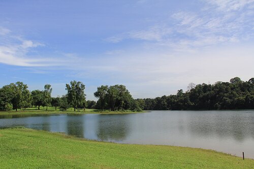 Audioguide de Singapour : explorez le réservoir MacRitchie