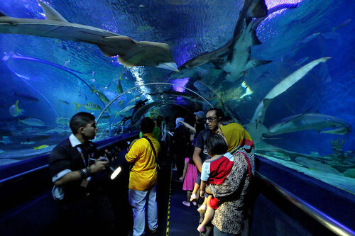 Kuala Lumpur Audio guide: Explore Aquaria KLCC