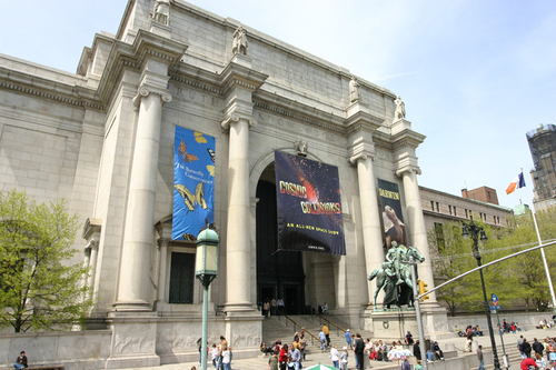 New York Audio guide: Explore American Museum of Natural History