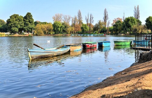 Audioguide de Johannesburg : explorez le zoo de Johannesburg
