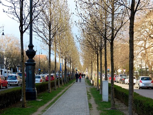 Audioguida di Budapest: esplora il viale Andrassy