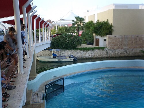 Cancun Audio guide: Explore Interactive Aquarium Cancun