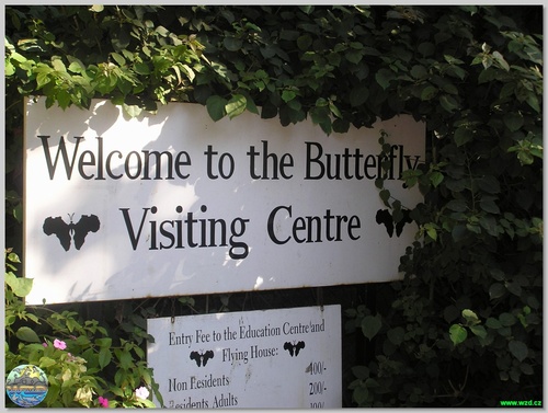 Guia de áudio de Nairobi: explore o Nairobi Butterfly Center