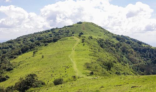 Audioguida di Nairobi: esplora le colline di Ngong