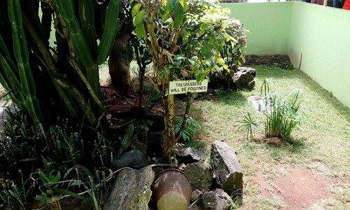 Audioguide de Nairobi : explorez le parc aux serpents de Nairobi