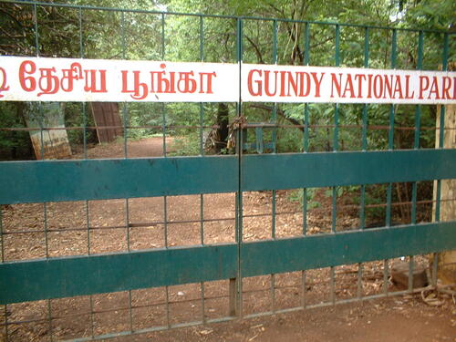 Chennai Audio guide: Explore Guindy National Park