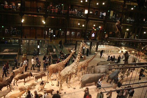 Audioguide Paris : Explorez le Muséum national d'Histoire naturelle