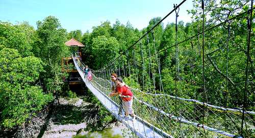 Audioguide de Johor Bahru : explorez le parc national de Pulau Kukup