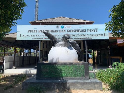 Bali Audio guide: Explore Turtle Conservation and Education Center