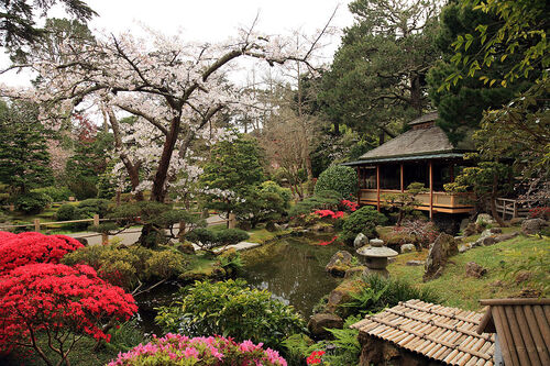San Francisco Audio guide: Explore Japanese Tea Garden