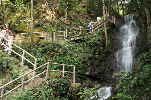 Hangzhou Audio guide: Explore Tea Village in Longjing