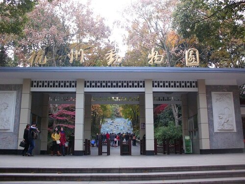 Hangzhou Audio guide: Explore Hangzhou Zoo