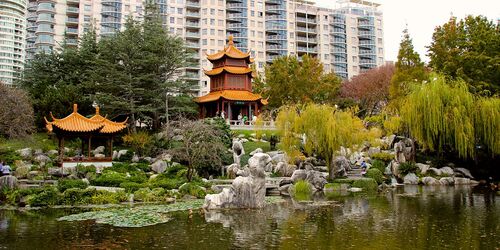 Sydney Audio guide: Explore Chinese Garden of Friendship