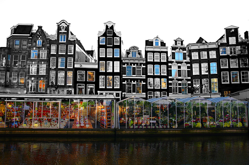 Audioguide d’Amsterdam : explorez le Bloemenmarkt