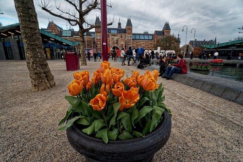 Audioguide d’Amsterdam : Explorez Museumplein