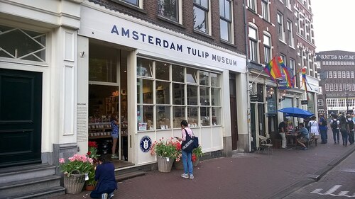 Audioguide d'Amsterdam : explorez le musée des tulipes d'Amsterdam