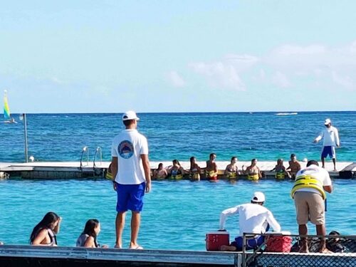 Audioguida di Punta Cana: esplora il Dolphin Island Park