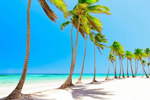 Punta Cana Audio guide: Explore Juanillo Beach