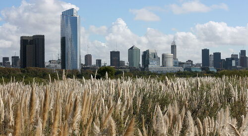 Audioguida di Buenos Aires: esplora la Riserva ecologica di Buenos Aires