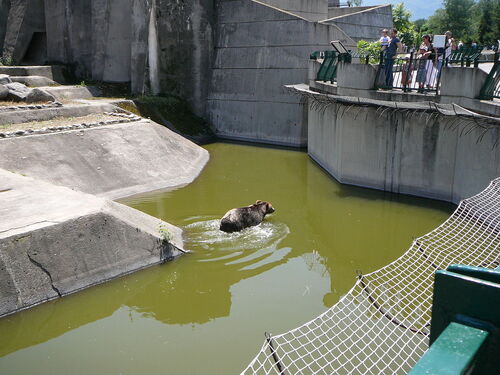 Audioguide de Sofia : explorez le zoo de Sofia