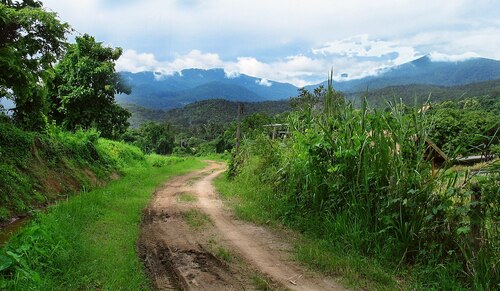 Audioguide de Chiang Mai : explorez le parc national de Doi Suthep-Pui