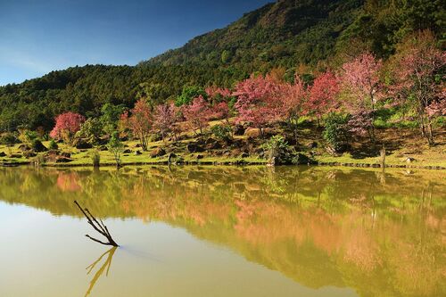 Chiang Mai Audio guide: Explore Doi Inthanon National Park
