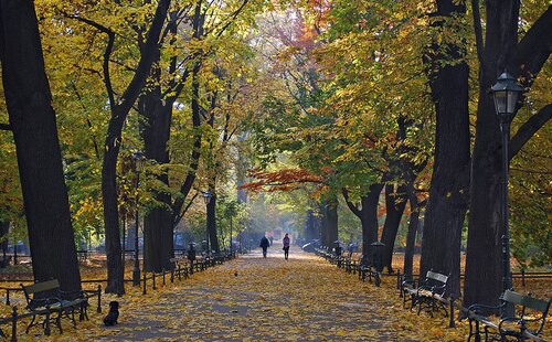 Audioguide de Cracovie : Explorez le parc Planty
