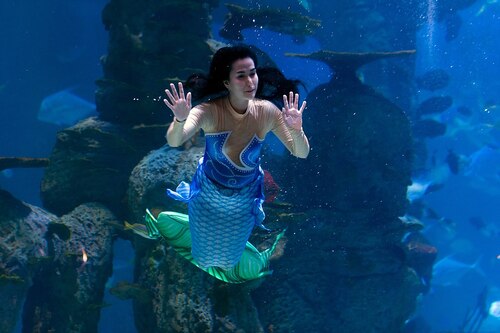 Audioguide de Jakarta : Explorez l'aquarium de Jakarta