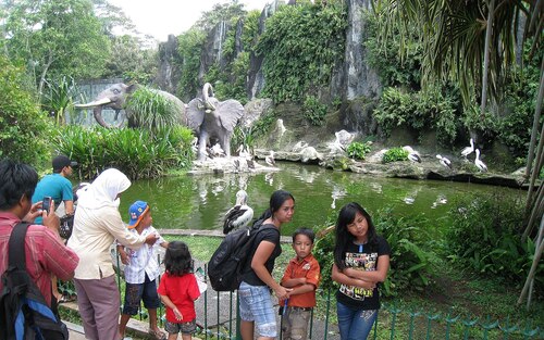 Audioguide de Jakarta : explorez le zoo de Ragunan