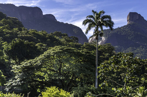 Audioguide de Rio de Janeiro : explorez le parc national de Tijuca