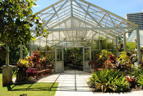Audioguide d'Honolulu : explorez le jardin botanique Foster