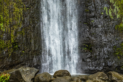 Audioguide d'Honolulu : explorez les chutes de Manoa