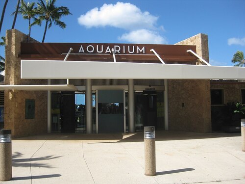 Audioguide d'Honolulu : explorez l'aquarium de Waikiki