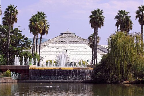 Nice Audio guide: Explore Phoenix Parc Floral de Nice