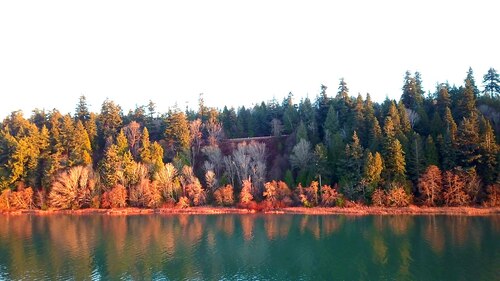 Vancouver Audio guide: Explore Pacific Spirit Regional Park