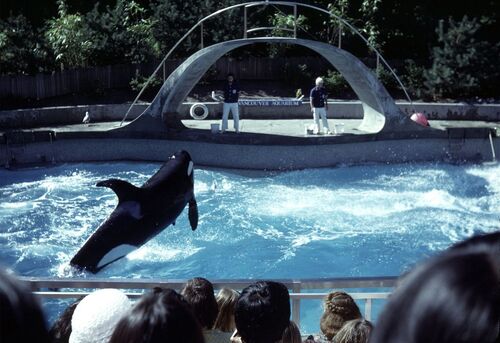 Vancouver Audio guide: Explore Vancouver Aquarium