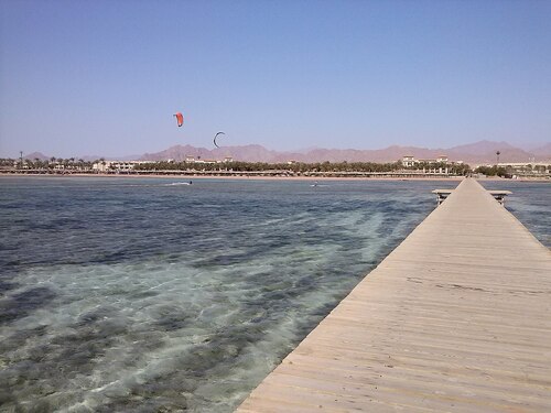 Sharm el Sheikh Audio guide: Explore Nabq Protected Area