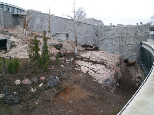 Helsinki Audio guide: Explore Helsinki Zoo (Korkeasaari)